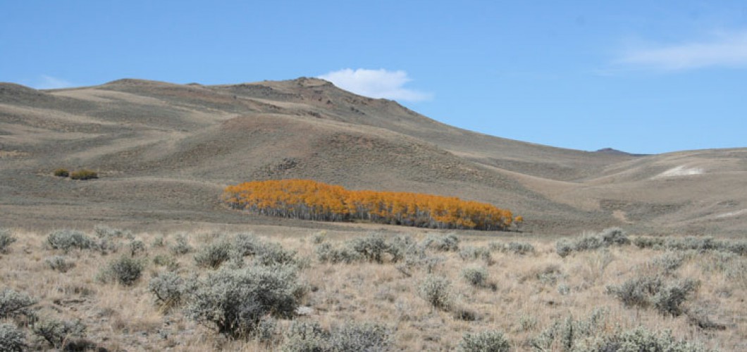 Patagonie (30)